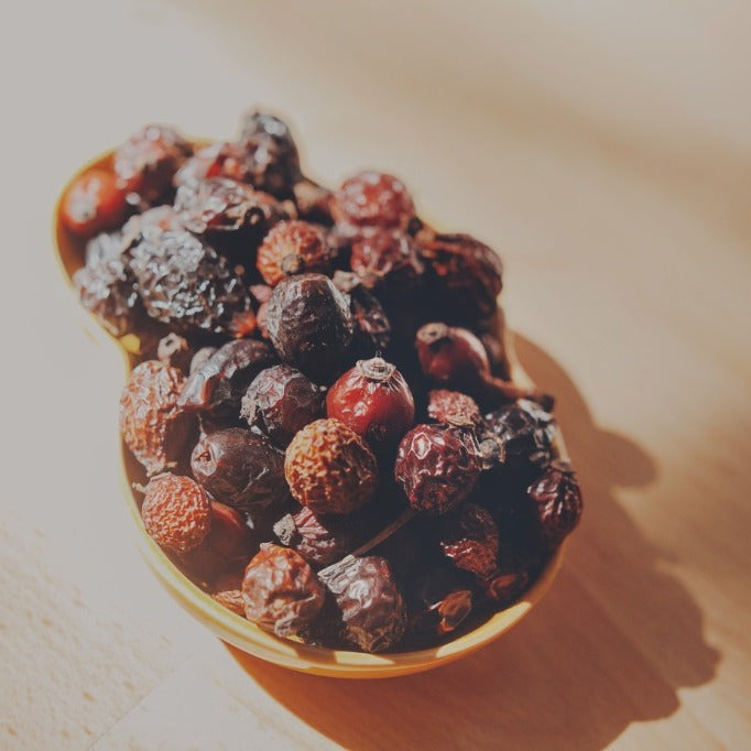 Close-up of whole dried rosehips, hawthorn, elderberries, juniper, sloe, and rowan berries in a bowl